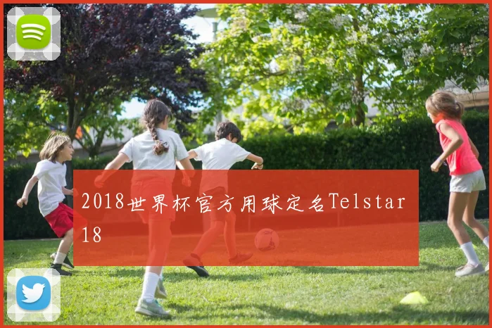 2018世界杯官方用球定名Telstar 18