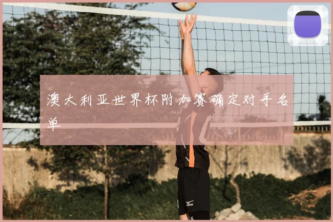 澳大利亚世界杯附加赛确定对手名单