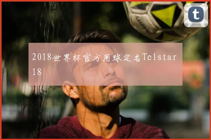 2018世界杯官方用球定名Telstar 18