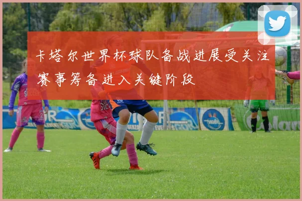 卡塔尔世界杯球队备战进展受关注 赛事筹备进入关键阶段
