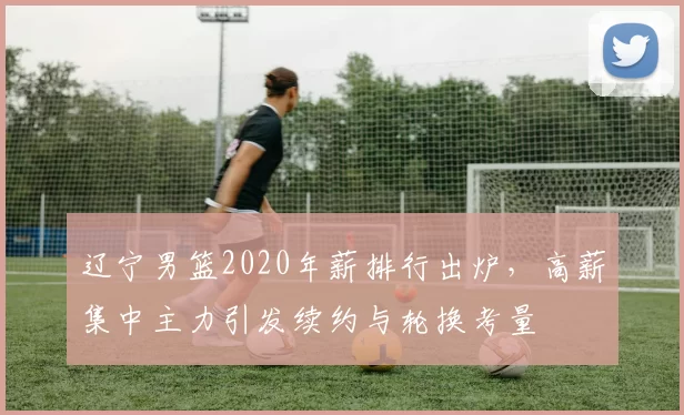 辽宁男篮2020年薪排行出炉，高薪集中主力引发续约与轮换考量