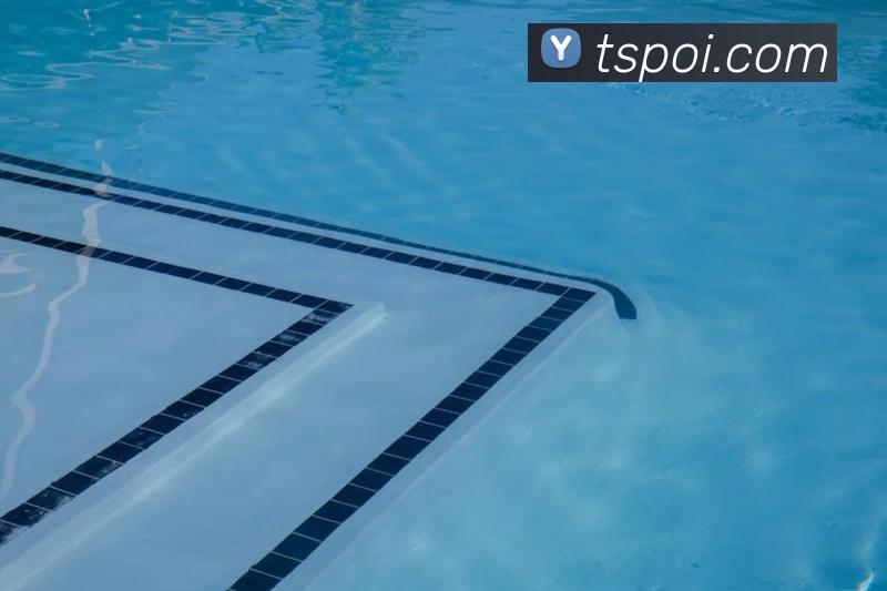 奖项证书